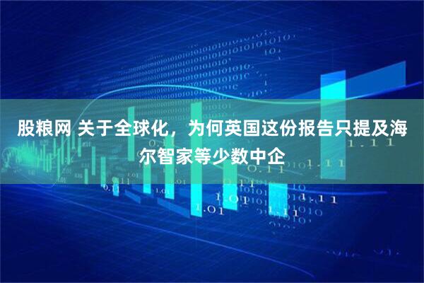 股粮网 关于全球化，为何英国这份报告只提及海尔智家等少数中企