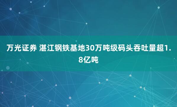 万光证券 湛江钢铁基地30万吨级码头吞吐量超1.8亿吨