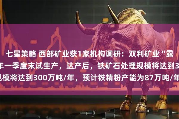 七星策略 西部矿业获1家机构调研：双利矿业“露转地”项目预计2026年一季度末试生产，达产后，铁矿石处理规模将达到300万吨/年，预计铁精粉产能为87万吨/年（附调研问答）