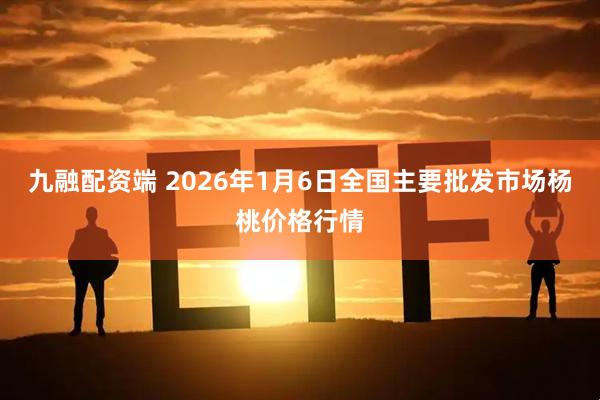 九融配资端 2026年1月6日全国主要批发市场杨桃价格行情
