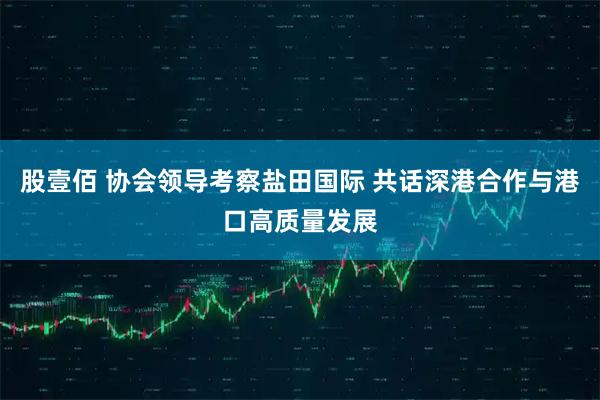 股壹佰 协会领导考察盐田国际 共话深港合作与港口高质量发展